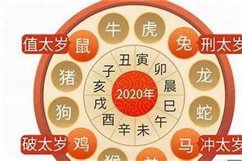 2024年属虎运势|属虎人2024年运势及运程详解 2024年属虎的人全年每月运程